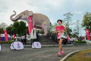 BIB: 
                            <button type="button" onclick="openModal(26529009)" class="btn btn-primary btn-sm float-right btn-popup" data-toggle="modal" data-target=".modal-high-quality">
                        <i class="fas fa-shopping-cart"></i> Add to Cart
                    </button>
                                            <button type="button" onclick="isThisMe(26529009, true)" class="btn btn-success btn-sm float-right btn-popup btn-isme hidden" data-toggle="tooltip" data-placement="bottom" title="นี่คือรูปของคุณใช่ไหม คลิกที่นี่เพื่อเอาเข้าอัลบั้ม">
                        <i class="fas fa-plus"></i> Add to album
                    </button>
                    <button type="button" onclick="isThisMe(26529009, false)" class="btn btn-warning btn-sm float-right btn-popup btn-isnotme hidden">
                        <i class="fas fa-ban"></i> Remove from album
                    </button>